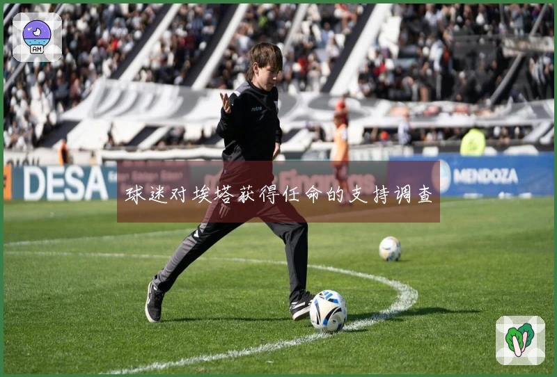 球迷对埃塔获得任命的支持调查