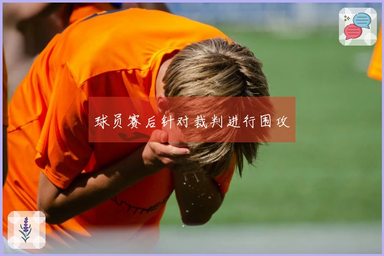 球员赛后针对裁判进行围攻