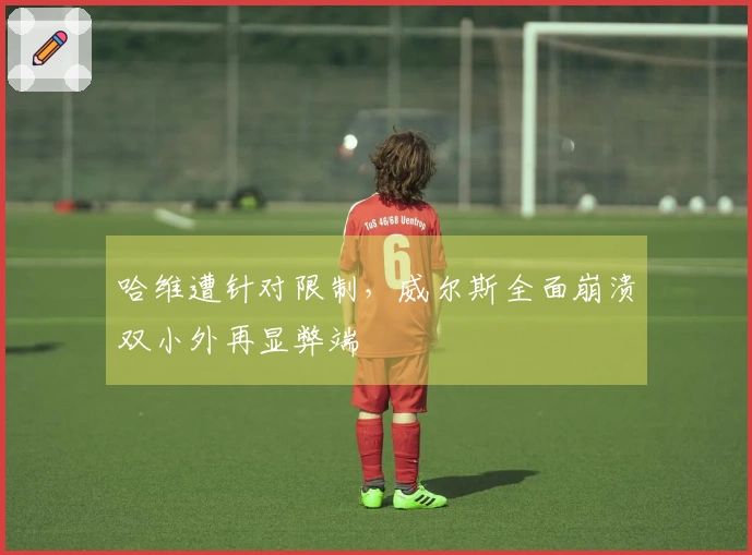 哈维遭针对限制，威尔斯全面崩溃双小外再显弊端